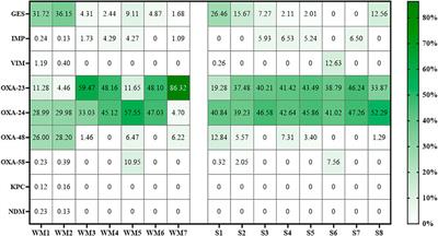 Impact of Hospital Wastewater on the Occurrence and Diversity of Beta-Lactamase Genes During Wastewater Treatment with an Emphasis on Carbapenemase Genes: A Metagenomic Approach